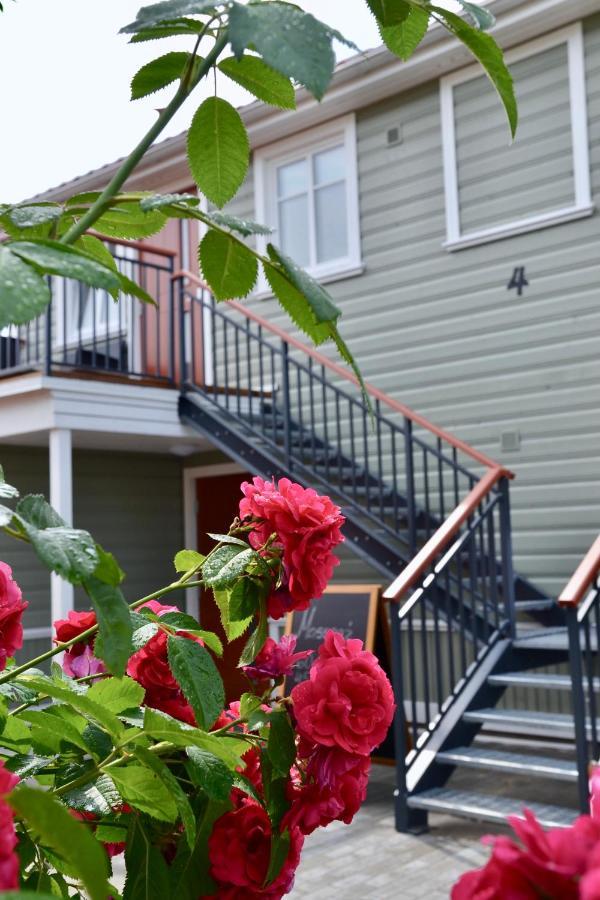 Alice Backyard-Holiday Home And Spa Parnu Luaran gambar